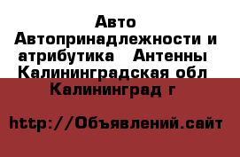 Авто Автопринадлежности и атрибутика - Антенны. Калининградская обл.,Калининград г.